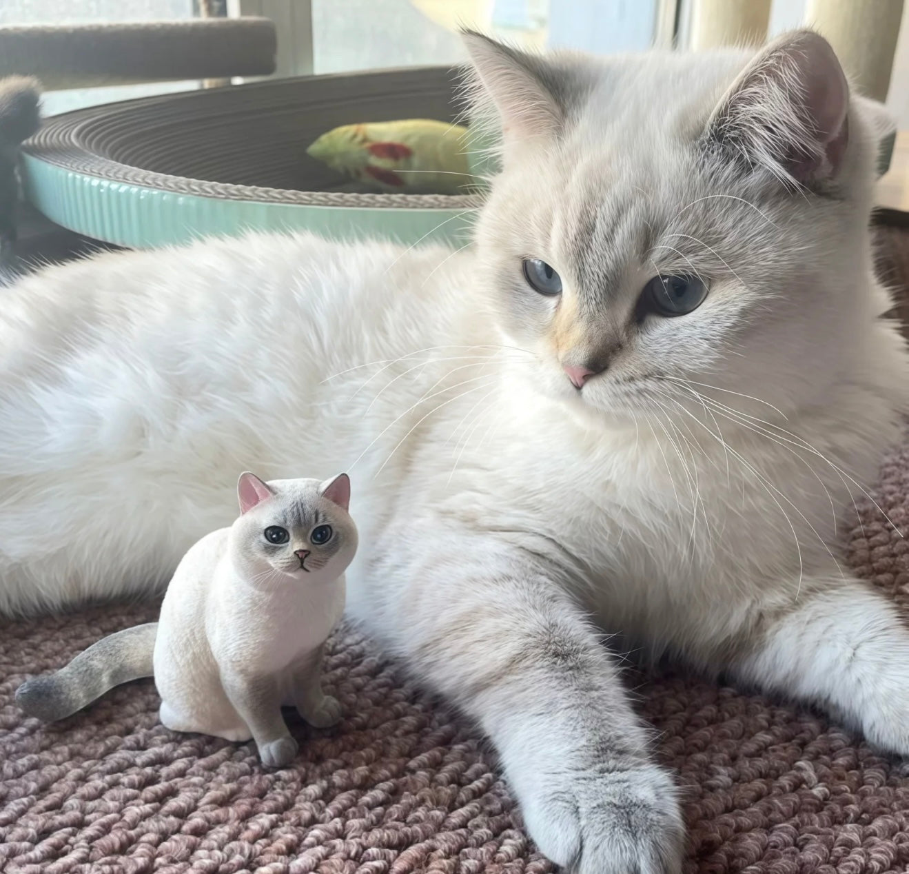 Cute & Playful Pets