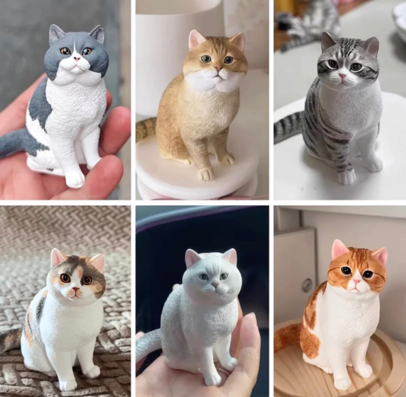 Cute & Playful Pets