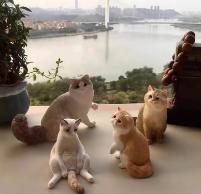 Cute & Playful Pets