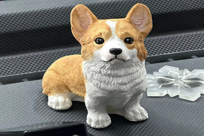 Cute & Playful Pets