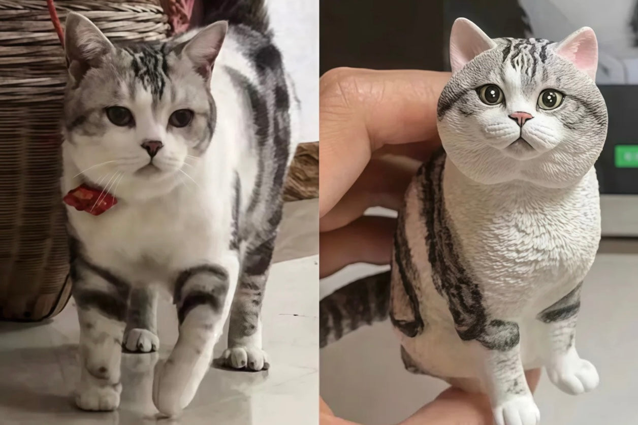 Cute & Playful Pets