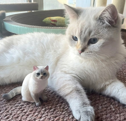 Cute & Playful Pets