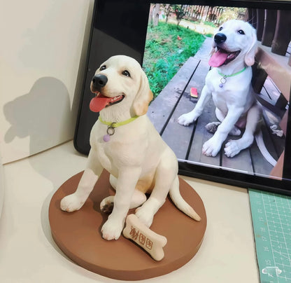 Cute & Playful Pets